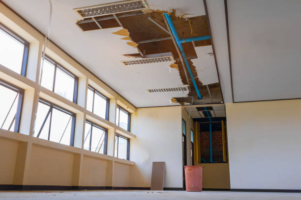  Grayson, KY Water damage restoration Pros