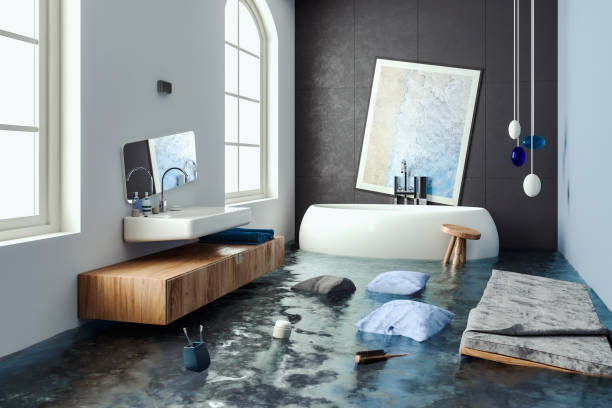 Best Mold removal after water damage  in Grayson, KY