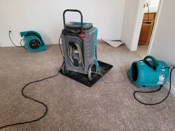 Best Water damage restoration company  in Grayson, KY