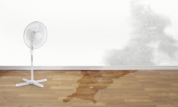Best Flood restoration services  in Grayson, KY