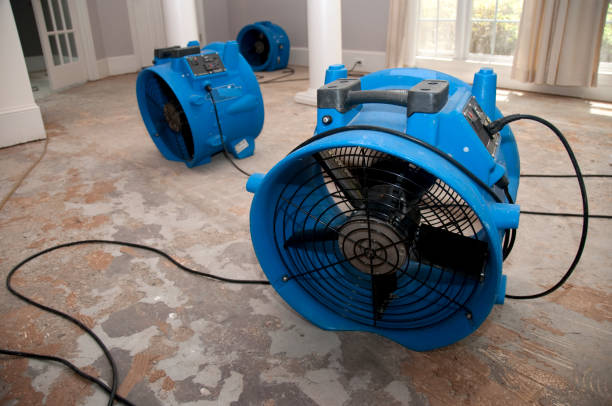 Best Carpet water damage restoration  in Grayson, KY