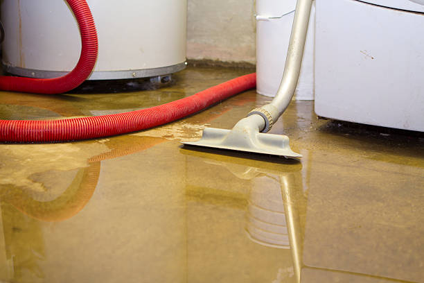 Best Water damage restoration near me  in Grayson, KY