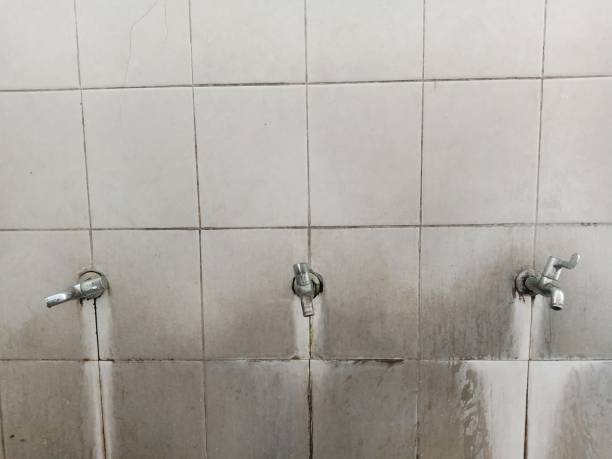 Best Sewage cleanup and water damage restoration  in Grayson, KY