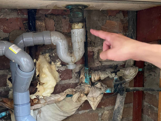 Best Fire Damage Restoration  in Grayson, KY