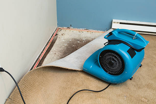 Best Water damage restoration near me  in Grayson, KY